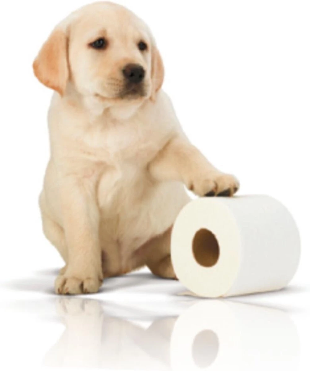 Page Toiletpapier - 32 Rollen - Kussenzacht Wc Papier (3-laags) - Voordeelverpakking - Afbeelding 6