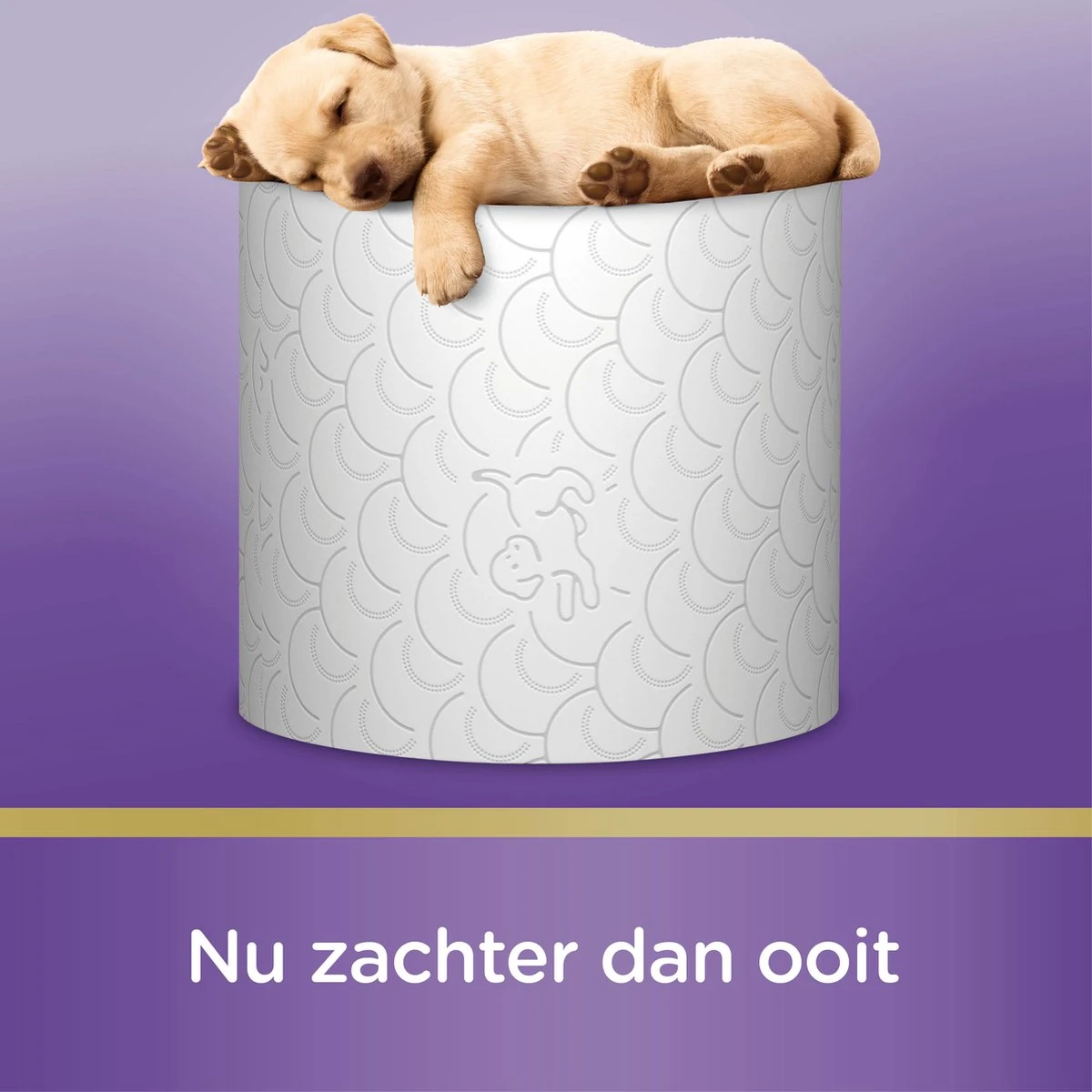 Page Toiletpapier - 32 Rollen - Kussenzacht Wc Papier (3-laags) - Voordeelverpakking - Afbeelding 4